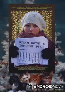 Отдам котят в хорошие руки / Otdam kotyat v khoroshie ruki