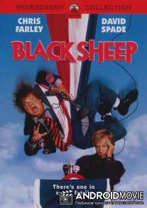 Паршивая овца / Black Sheep