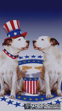 Пес и нищий / Pooch and the Pauper, The