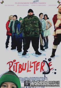 Питбуль Терье / Pitbullterje