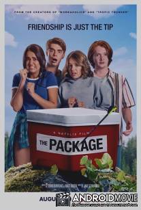 Прибор / The Package