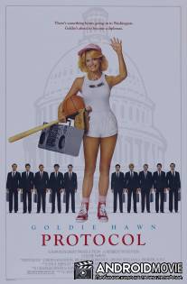 Протокол / Protocol