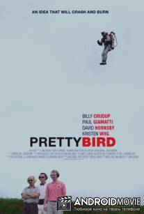 Пташка / Pretty Bird