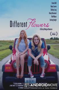 Разного поля ягоды / Different Flowers