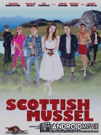 Шотландские мидии / Scottish Mussel