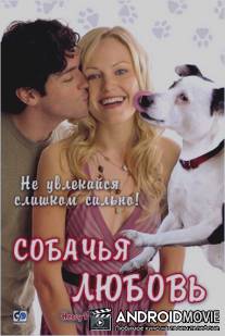 Собачья любовь / Heavy Petting