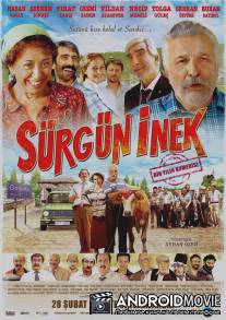 Сосланная корова / Surgun Inek