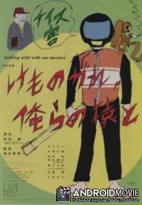 Сойти с ума вместе с нашей обезьяной / Getting Wild with Our Monkey