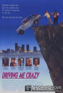 Сумасшедшая история / Driving Me Crazy