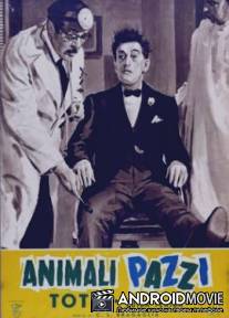 Сумасшедшие животные / Animali pazzi