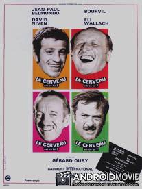 Супермозг / Le cerveau