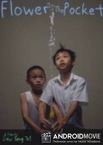 Цветок в кармане / Flower in the Pocket