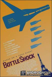 Удар бутылкой / Bottle Shock