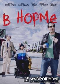 В норме / Legit