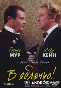 В яблочко! / Bullseye!
