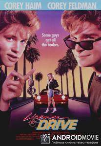 Водительские права / License to Drive