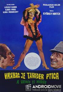 Воробей тоже птица / A vereb is madar