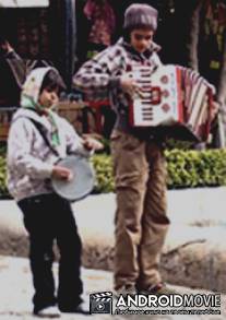 Аккордеон / Accordion, The
