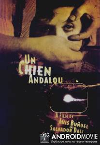 Андалузский пес / Un chien andalou
