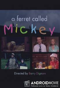 Хорек по имени Микки / A Ferret Called Mickey