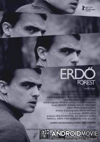 Лес / Erdo