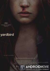 Птичка в клетке / Yardbird