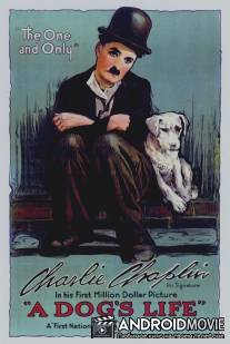 Собачья жизнь / A Dog's Life