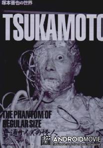 Странное существо обычного размера / Futsu saizu no kaijin