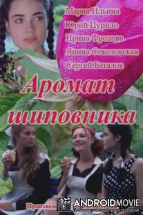 Аромат шиповника / Aromat shipovnika
