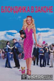 Блондинка в законе / Legally Blonde