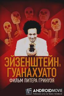 Эйзенштейн в Гуанахуато / Eisenstein in Guanajuato