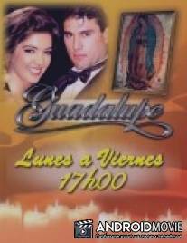 Гваделупе / Guadalupe