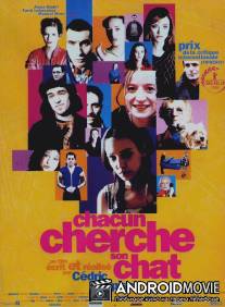 Каждый ищет своего кота / Chacun cherche son chat