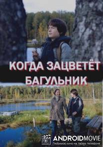 Когда зацветёт багульник / Kogda zatsvetet bagulnik