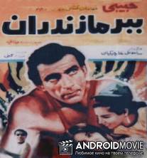 Мазандаранский тигр / Babre mazandaran