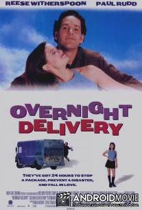 Ночная посылка / Overnight Delivery