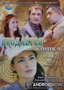 Продается кошка / Prodaetsya koshka