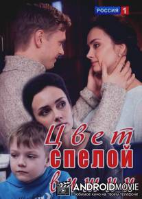 Цвет спелой вишни