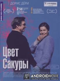 Цветение сакуры / Kirschbluten - Hanami