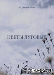 Цветы луговые / Tsvety lugovye