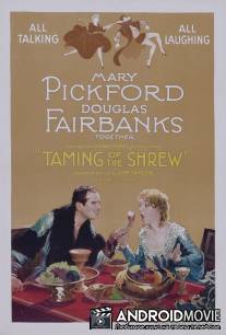 Укрощение строптивой / Taming of the Shrew, The