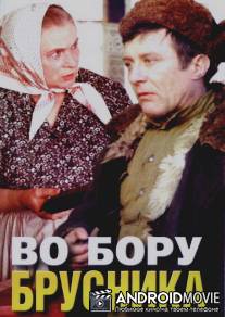 Во бору брусника / Vo boru brusnika