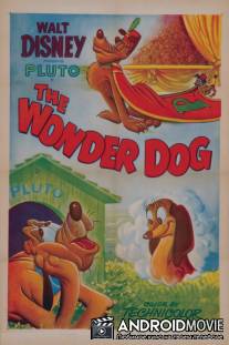 Чудесный пес / Wonder Dog