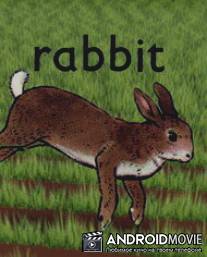 Кролик / Rabbit