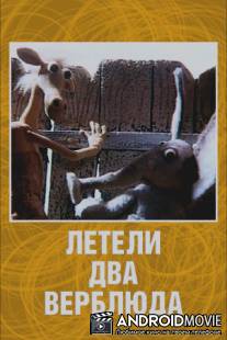 Летели два верблюда / Leteli dva verbluda