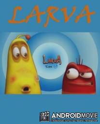 Личинки / Larva