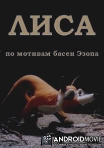 Лиса / Aisopose rebane