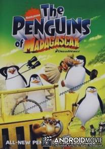 Пингвины из Мадагаскара / Penguins of Madagascar, The