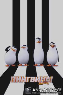 Пингвины Мадагаскара / Penguins of Madagascar
