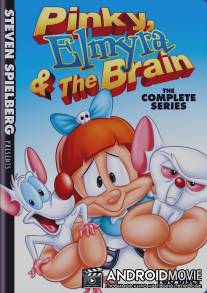 Пинки, Элмайра и Брейн / 